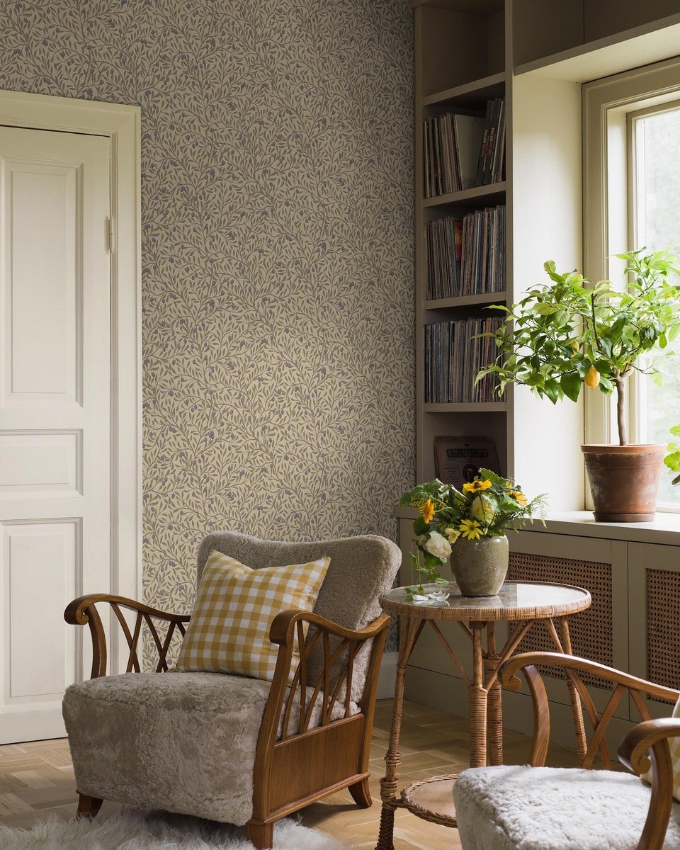 Kampanj_5704_Olivträd_Roomshot_7.jpg