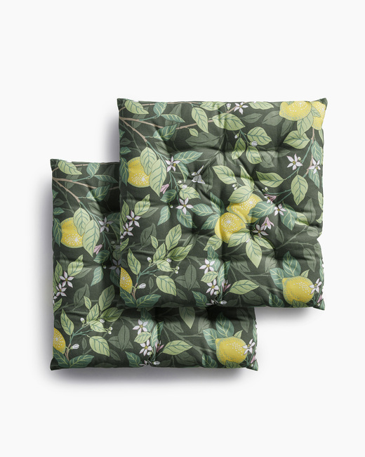 Citronträd sittdynor 2-pack