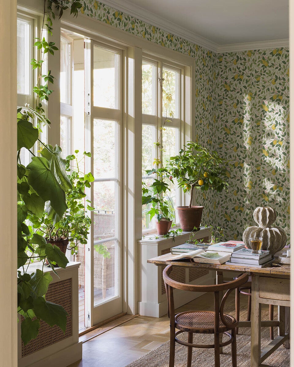 Kampanj_5702_Citronträd_Roomshot_1.jpg